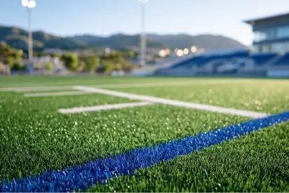 アクセスが良好な周辺の屋外スポーツグラウンドの風景